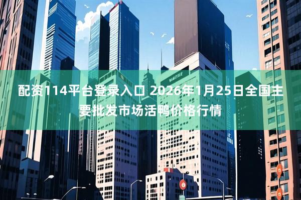 配资114平台登录入口 2026年1月25日全国主要批发市场活鸭价格行情