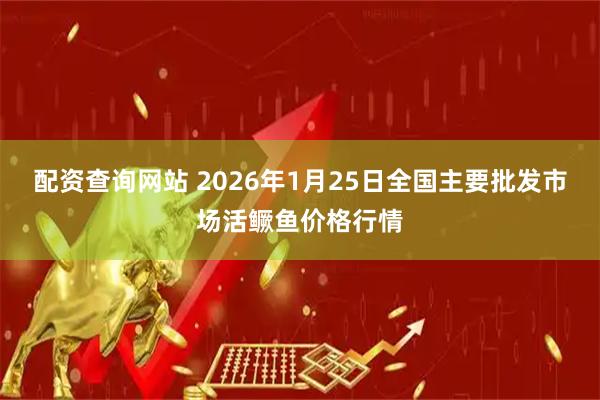 配资查询网站 2026年1月25日全国主要批发市场活鳜鱼价格行情