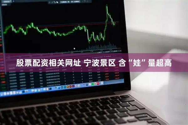 股票配资相关网址 宁波景区 含“娃”量超高